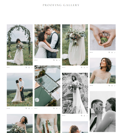 Shelly Photography screenshot